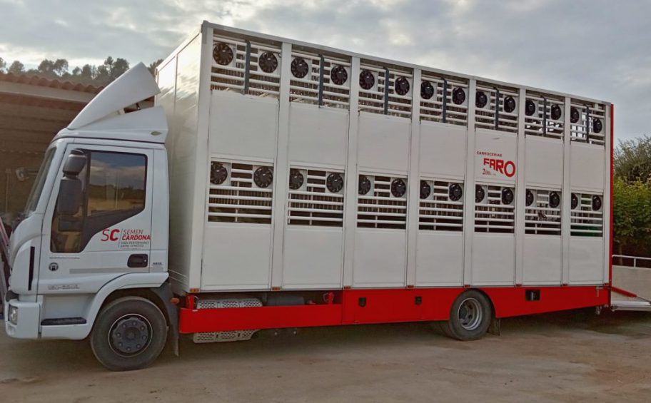 Hygiene and sanitation, first of all: the exclusive Semen Cardona truck for the transport of boars