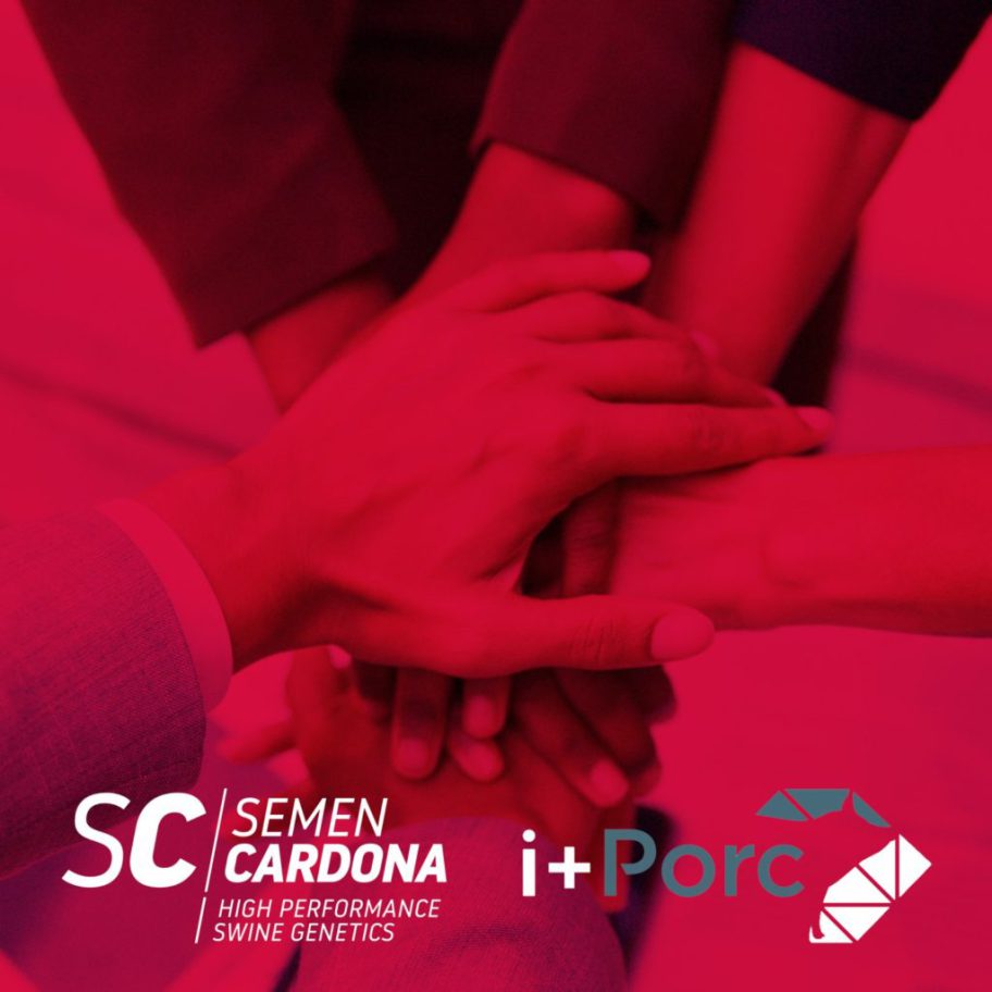 Semen Cardona, partner partner of i + Porc