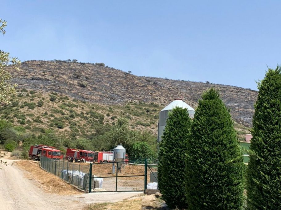 Los incendios de Alòs de Balaguer i Lladurs no afectan a la producción de Semen Cardona