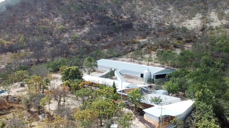Topigs Norsvin y Semen Cardona México inauguran nuevo Centro de Diseminación Genética «El Milagro», en México