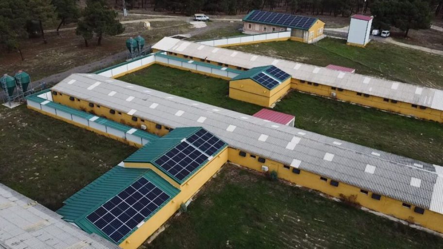 The AIC Duque is already 100% sustainable after installing 104 solar panels